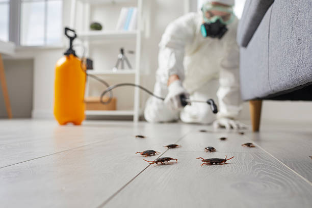 Commercial Kitchen Cockroach Control in Grayson